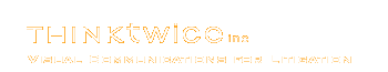 Think Twice, inc. Litigation Services